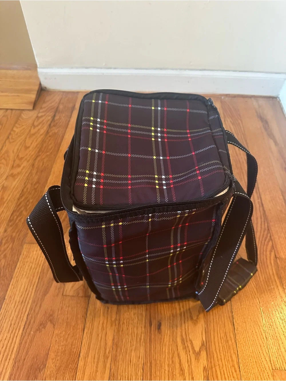 Scout insulated soft cooler